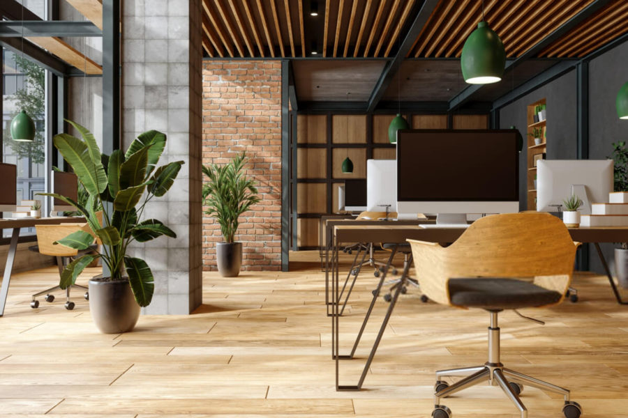 Commercial Renovation