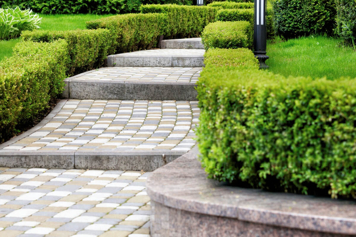 landscape and paving