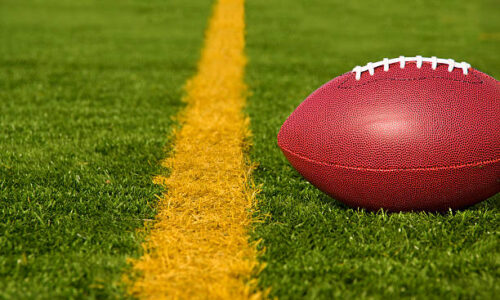 Recreational Areas-artificial Grass with Ball