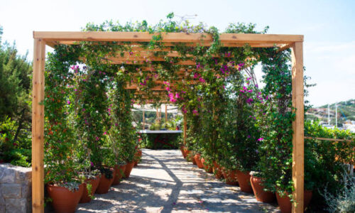 arbors and trellises
