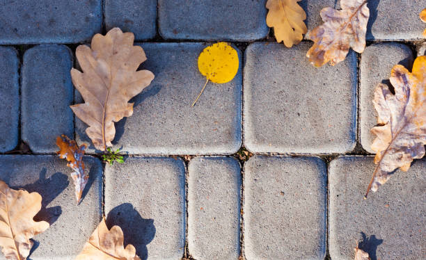 Asphalt vs. Pavers vs. Stamped Concrete